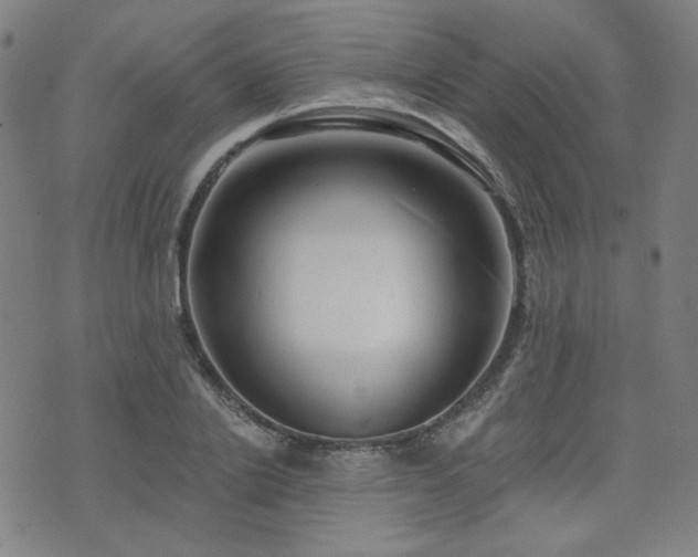 X0000072490838200607141102
