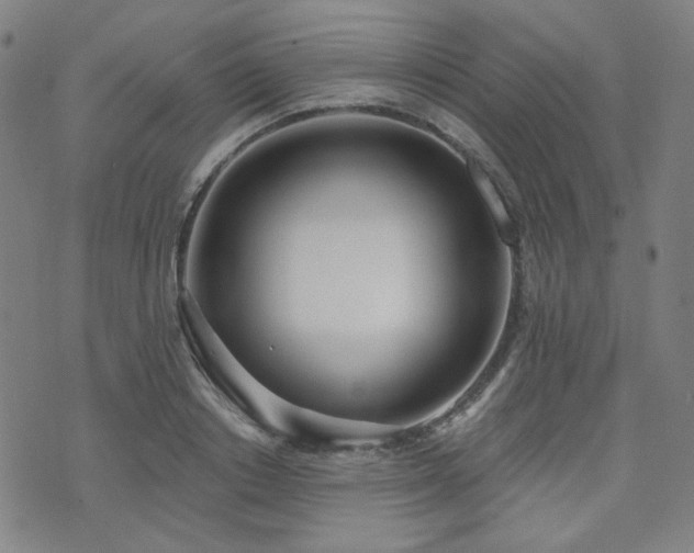 X0000072490842200607141103