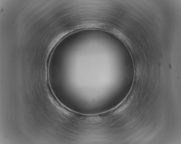 X0000072490844200607141103