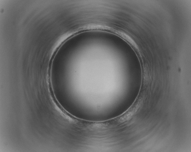 X0000072490847200607141103