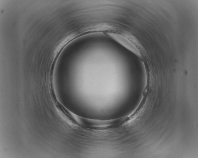 X0000072490850200607141103