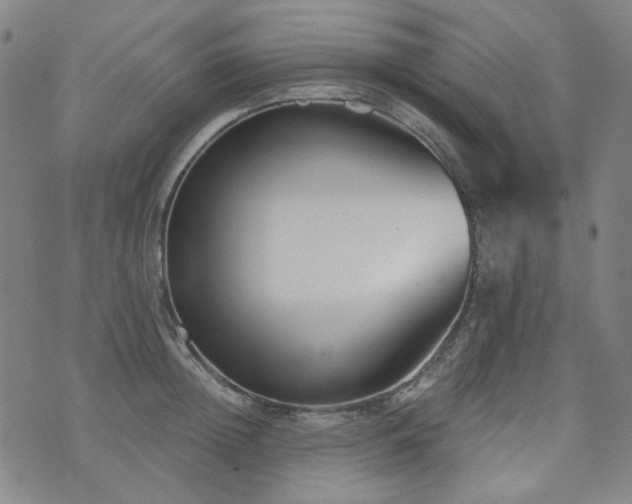 X0000072490852200607141103