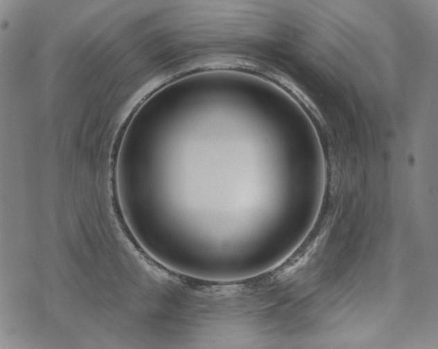 X0000072490853200607141103
