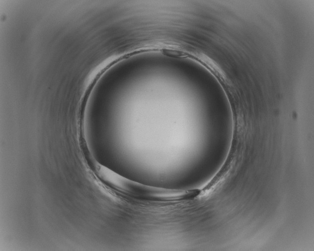 X0000072490854200607141103