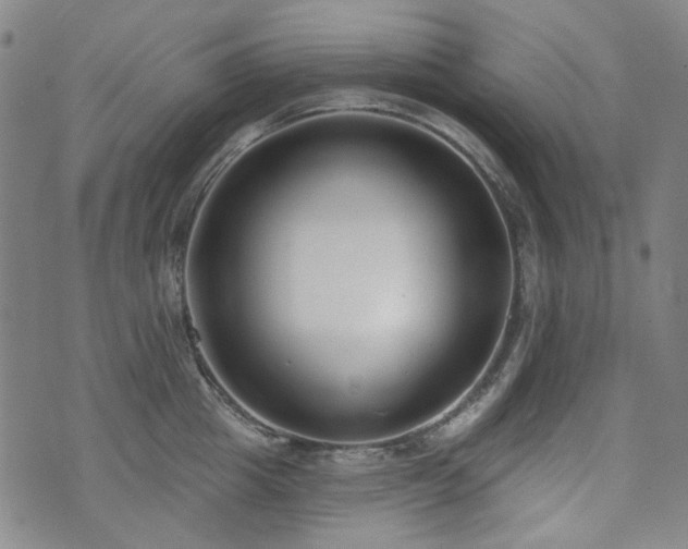 X0000072490857200607141103