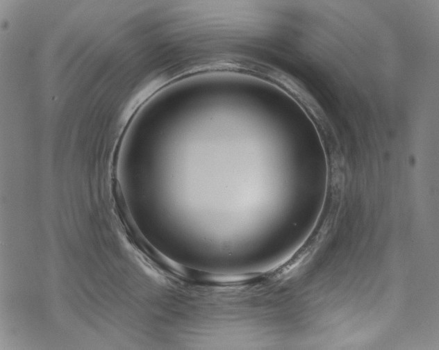 X0000072490858200607141103
