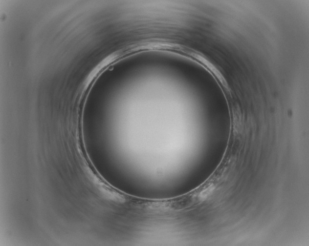X0000072490861200607141103