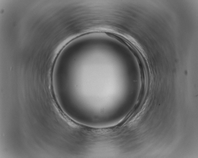 X0000072490862200607141103