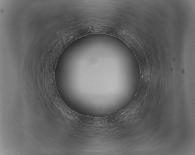 X0000072490865200607141102
