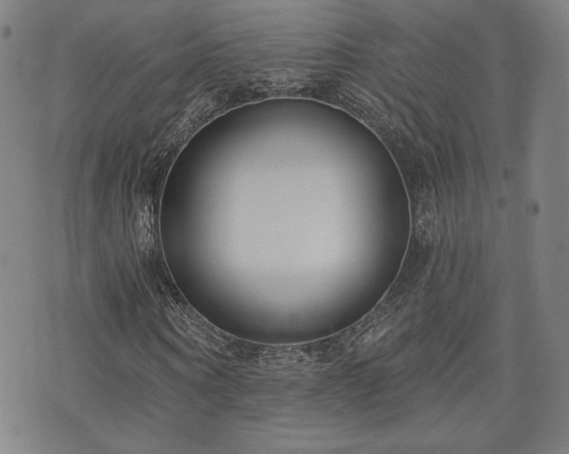 X0000072490866200607141102