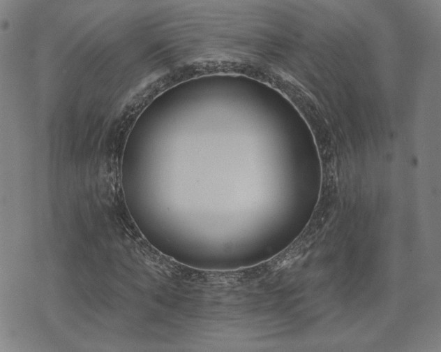 X0000072490870200607141102