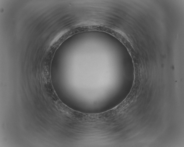 X0000072490871200607141102
