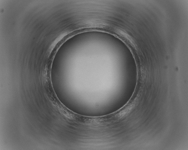 X0000072490875200607141102