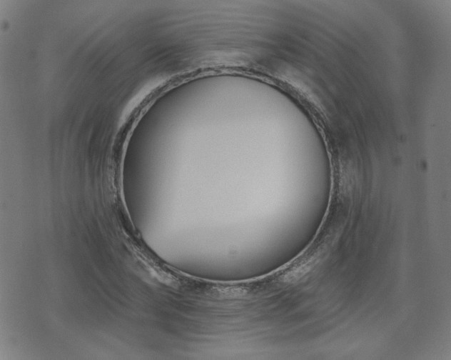 X0000072490878200607141102