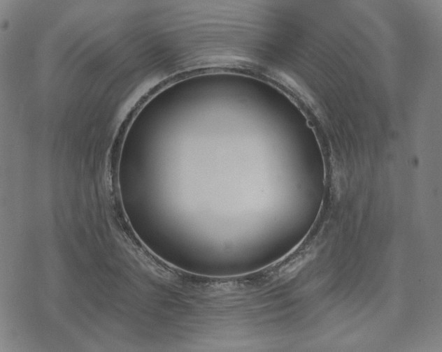 X0000072490883200607141102