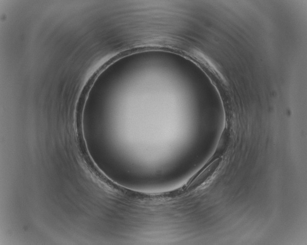X0000072490884200607141102
