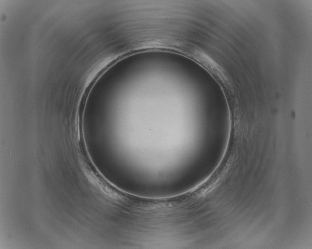 X0000072490892200607141102