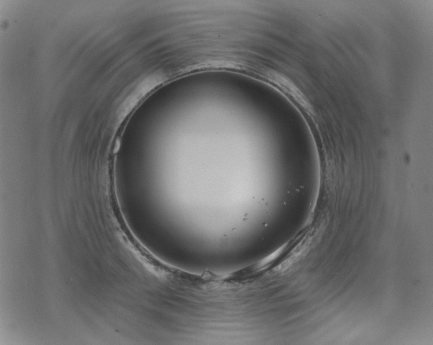 X0000072490898200607141102