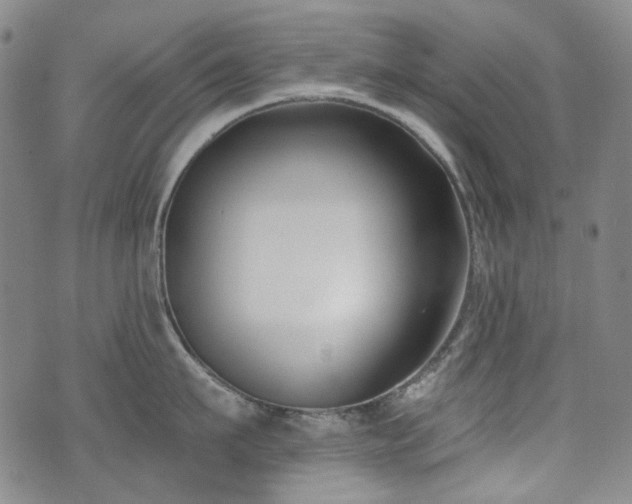 X0000072490911200607141101