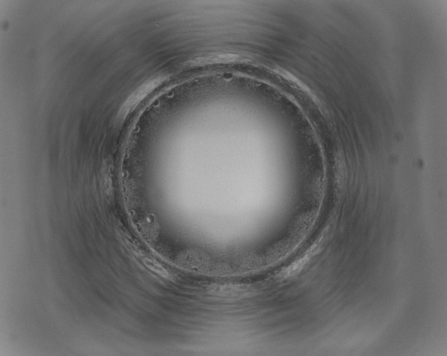 X0000072490921200607141101