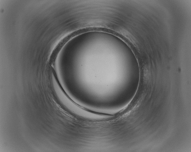 X0000072490926200607141101