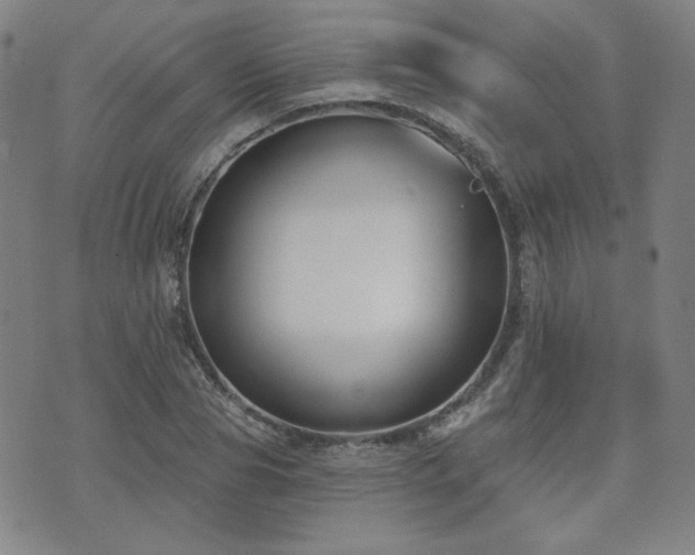 X0000072490929200607141101