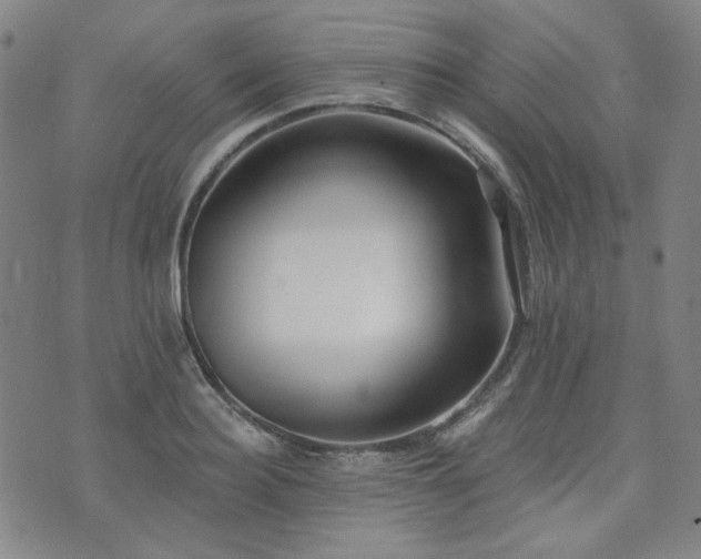 X0000072490940200607141101
