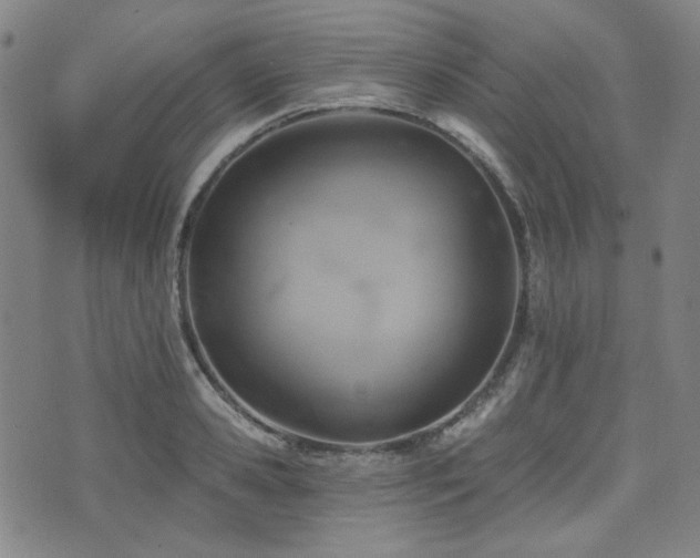 X0000072490941200607141101