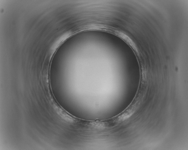 X0000072490954200607141101