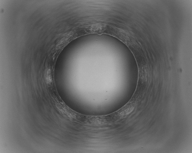X0000072490962200607141101