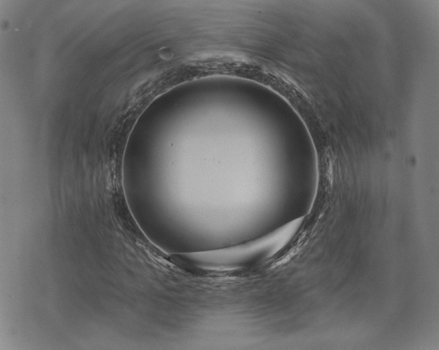 X0000072490965200607141100