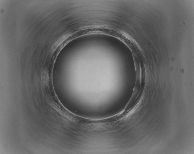 X0000072490969200607141100