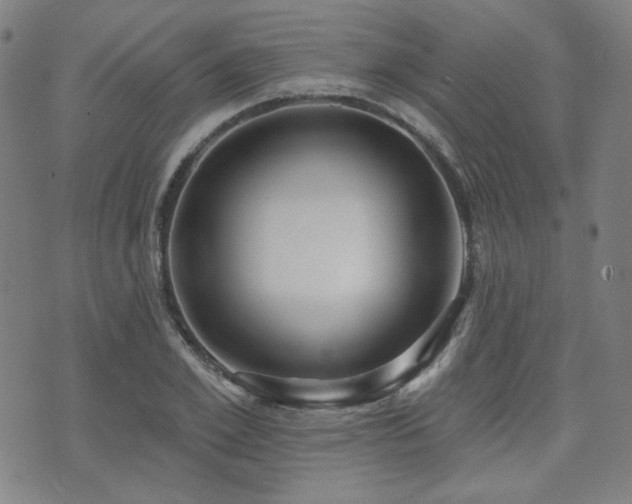 X0000072490981200607141100
