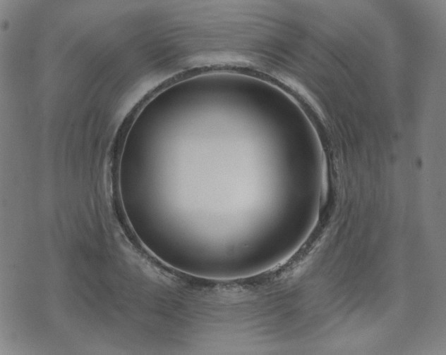 X0000072490983200607141100