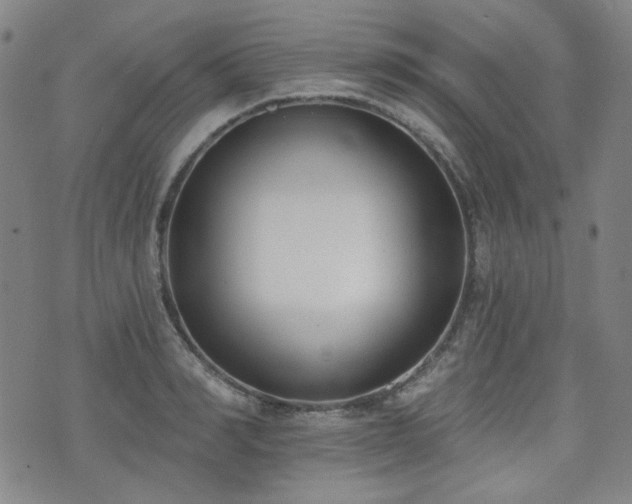 X0000072490990200607141100