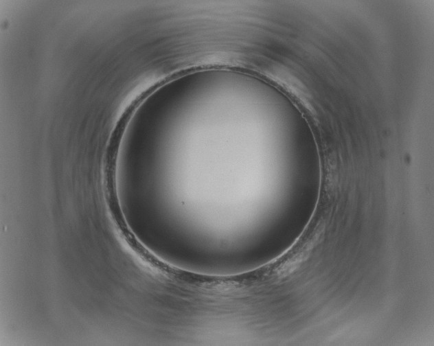 X0000072490991200607141100