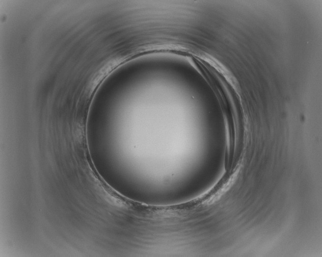 X0000072490993200607141100