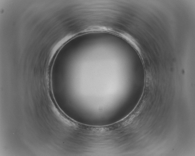 X0000072491003200607141100