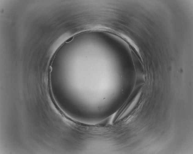 X0000072491007200607141100
