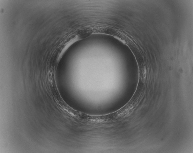 X0000072491010200607141059