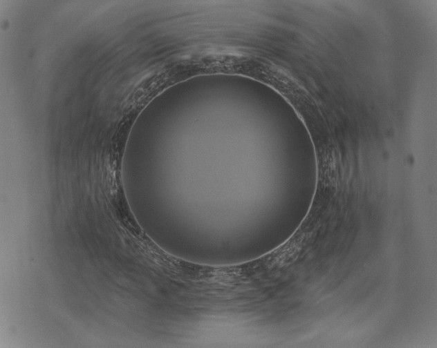 X0000072491013200607141059