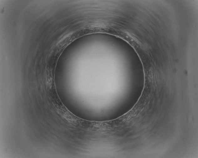 X0000072491015200607141059