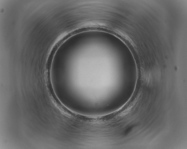 X0000072491029200607141059