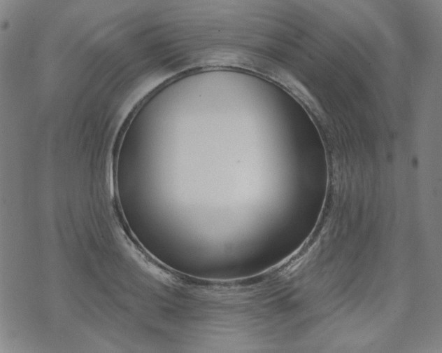 X0000072491036200607141059
