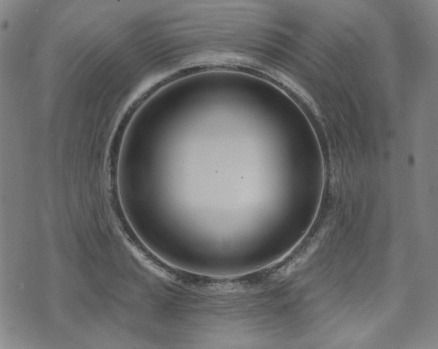 X0000072491037200607141059