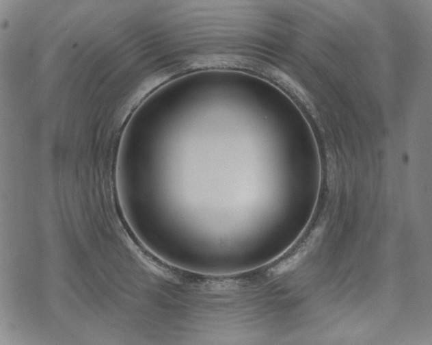 X0000072491041200607141100