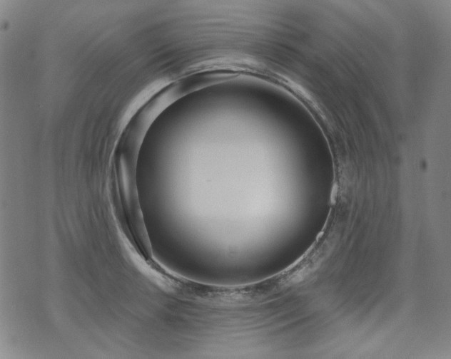 X0000072491042200607141100