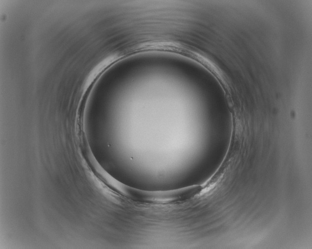 X0000072491050200607141100