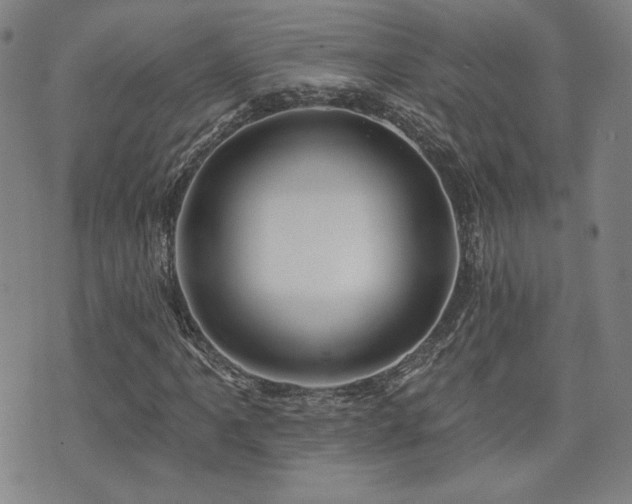 X0000072491061200607141059