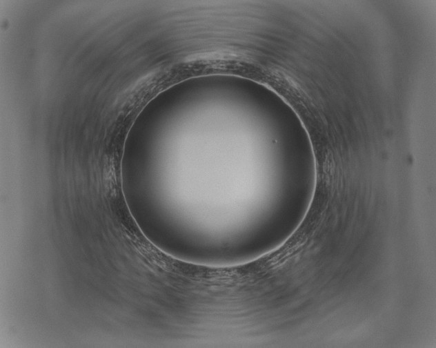 X0000072491062200607141059